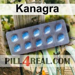 Kanagra 087