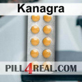 Kanagra 110