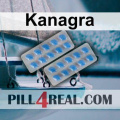 Kanagra 115