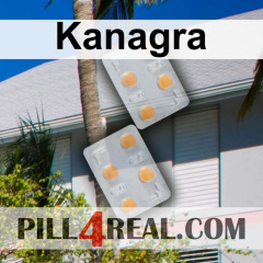 Kanagra 213