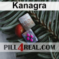 Kanagra 247