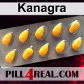 Kanagra 275