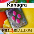 Kanagra 305