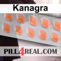 Kanagra 336