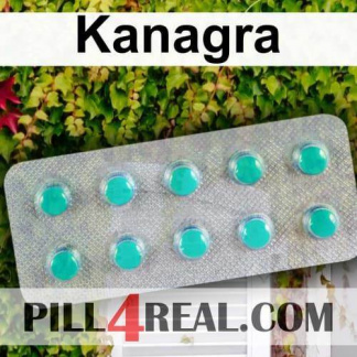 Kanagra 374