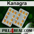Kanagra 704