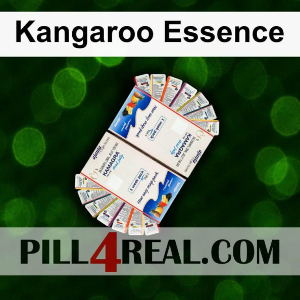 Kangaroo Essence 062