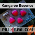 Kangaroo Essence 105