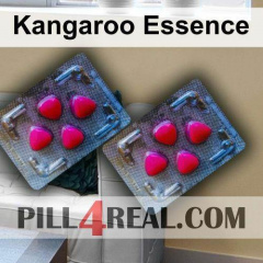 Kangaroo Essence 113