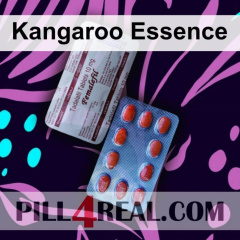 Kangaroo Essence 258