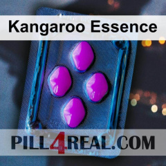 Kangaroo Essence 267