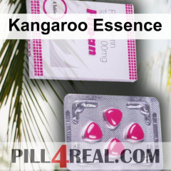 Kangaroo Essence 391