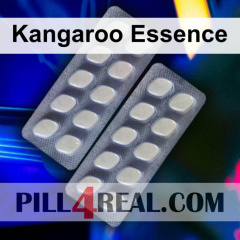 Kangaroo Essence 407