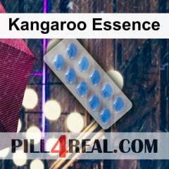 Kangaroo Essence 439