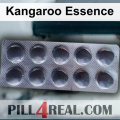 Kangaroo Essence 481