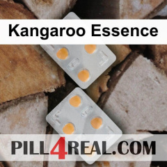 Kangaroo Essence 548