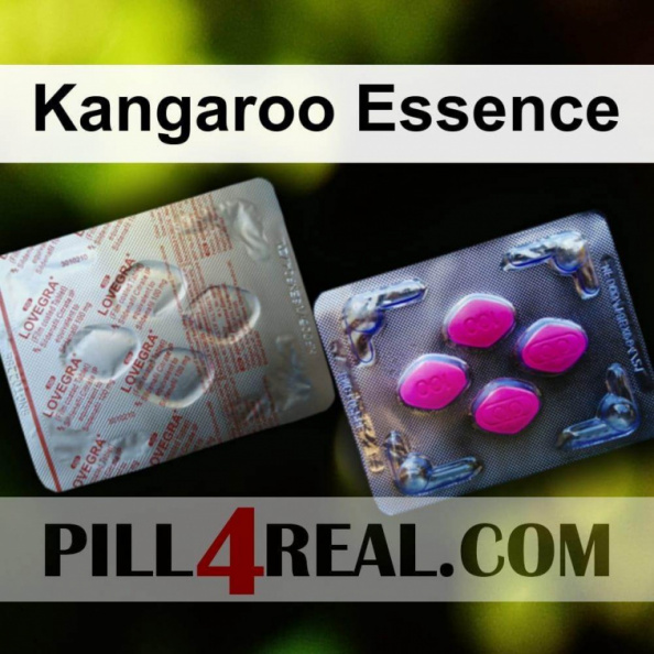 Kangaroo Essence 553