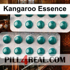 Kangaroo Essence 557
