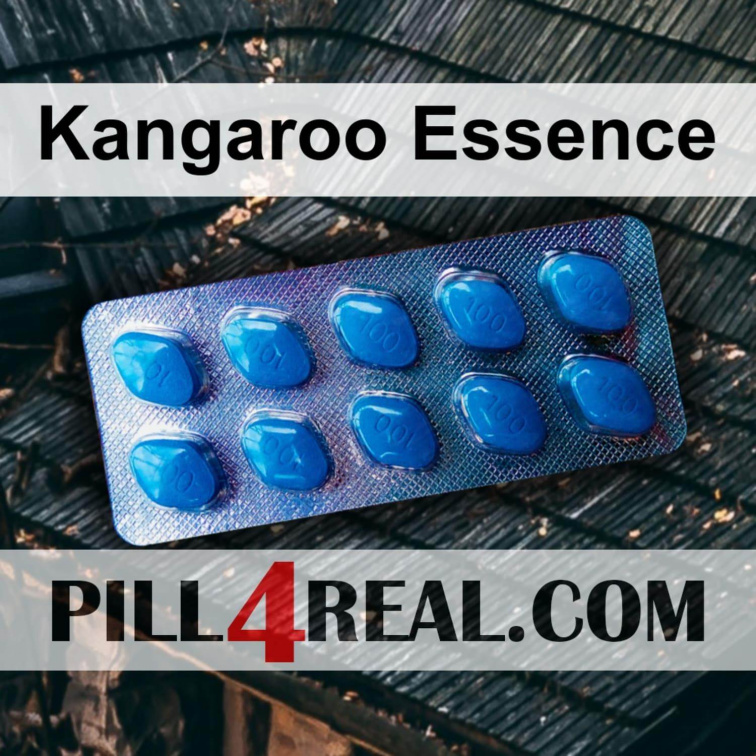 Kangaroo Essence 567