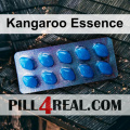 Kangaroo Essence 567