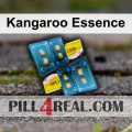 Kangaroo Essence 578