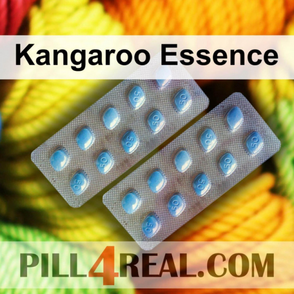 Kangaroo Essence 584