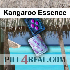 Kangaroo Essence 644