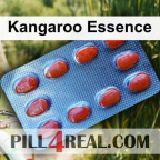 Kangaroo Essence 652