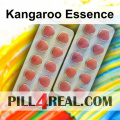 Kangaroo Essence 711