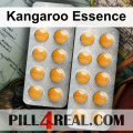 Kangaroo Essence 736