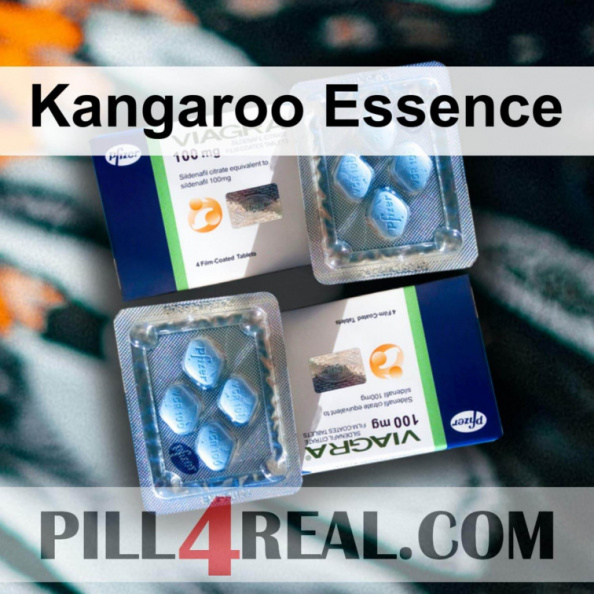 Kangaroo Essence 742
