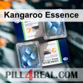 Kangaroo Essence 742