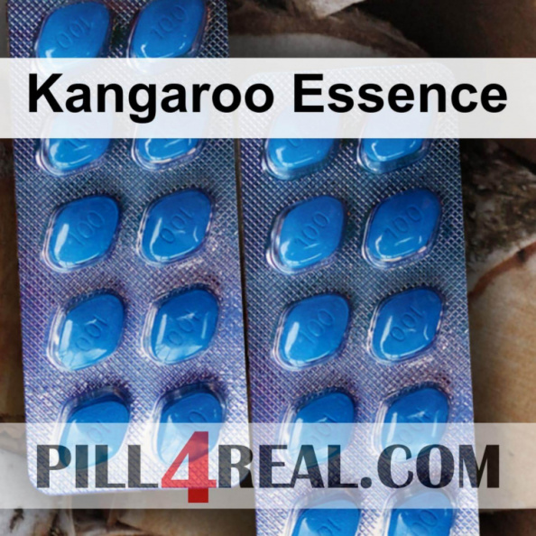 Kangaroo_Essence_755.jpg