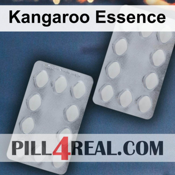 Kangaroo Essence 865