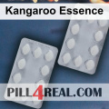 Kangaroo Essence 865