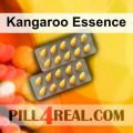 Kangaroo Essence 912