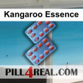 Kangaroo Essence 920