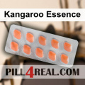 Kangaroo Essence 929
