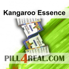 Kangaroo Essence 982