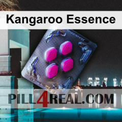 Kangaroo Essence 990