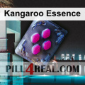 Kangaroo Essence 990