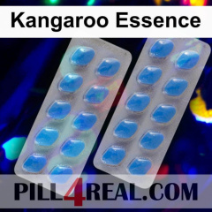 Kangaroo Essence 996