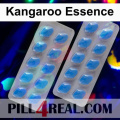 Kangaroo Essence 996