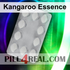 Kangaroo Essence 998