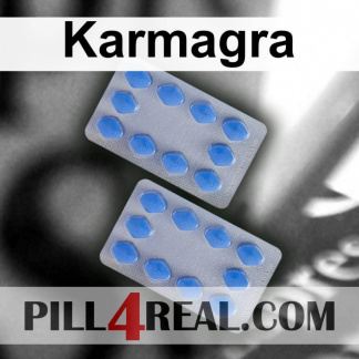 Karmagra 240