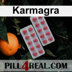 Karmagra 283