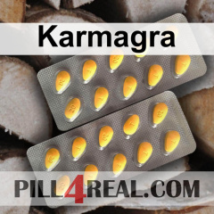 Karmagra 469
