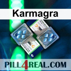 Karmagra 950