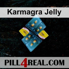Karmagra Jelly 291