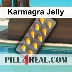 Karmagra Jelly 390